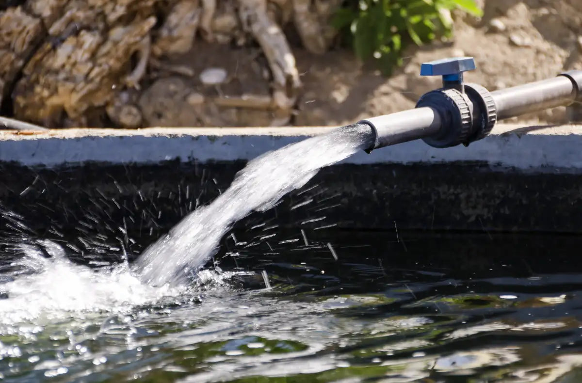 Brunnenwasser für den Pool nutzen: Das ist zu beachten