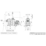 Aqua Plus 8 mit Timerfunktion - Filterpumpe 8m³/h bis 48m³ Wasserinhalt