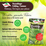 5 kg VERDURMAX® Rasendünger Frühling / Sommer