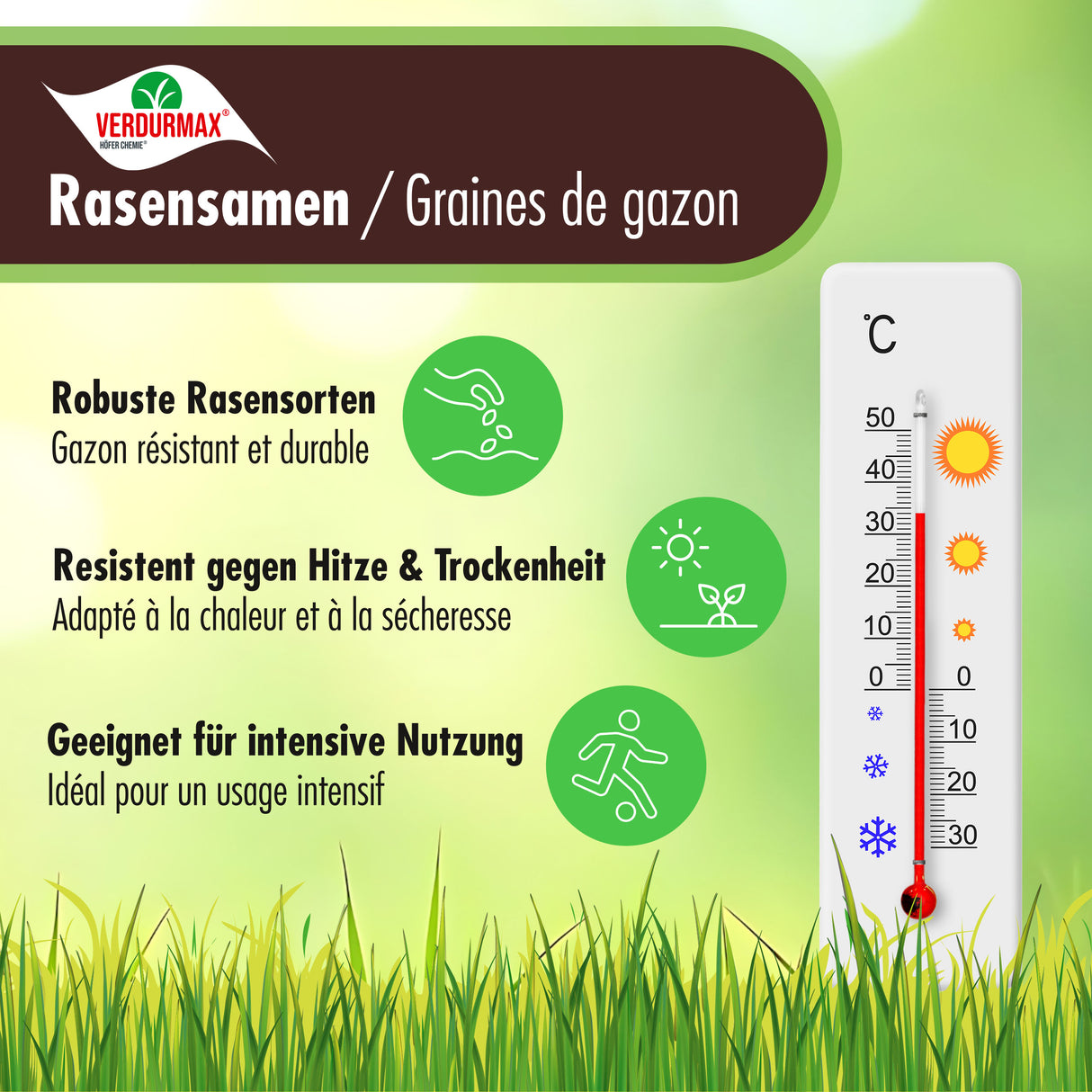 1 kg VERDURMAX® Rasensamen