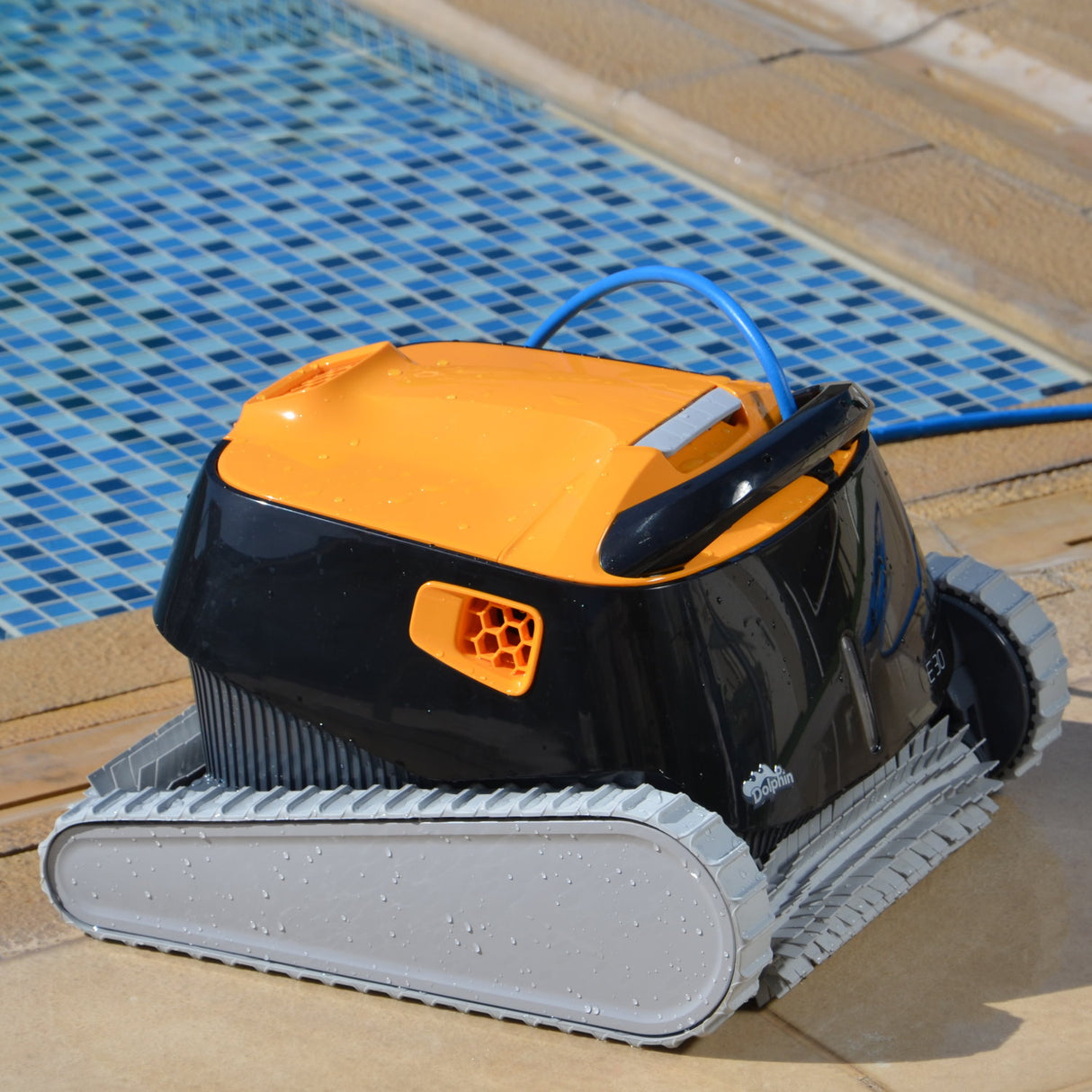 Robot de piscine Dolphin E30 nettoyeur murs et sols